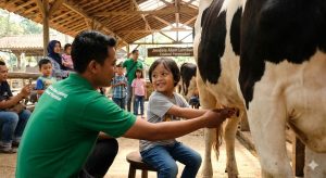 Jendela Alam Lembang